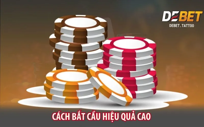 cach-bat-cau-hieu-qua-cao