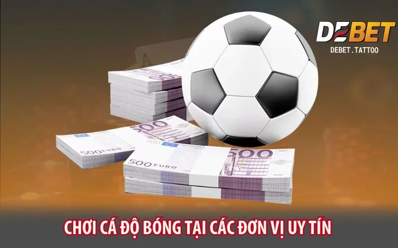 choi-ca-do-bong-tai-cac-don-vi-uy-tin